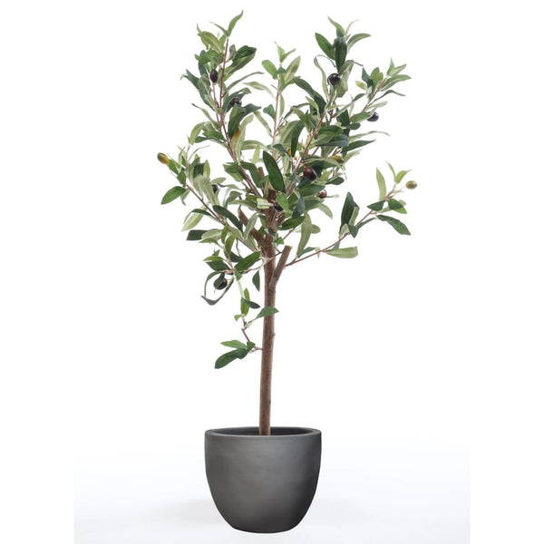 Emerald Tekokasvi mini oliivipuu 65 cm
