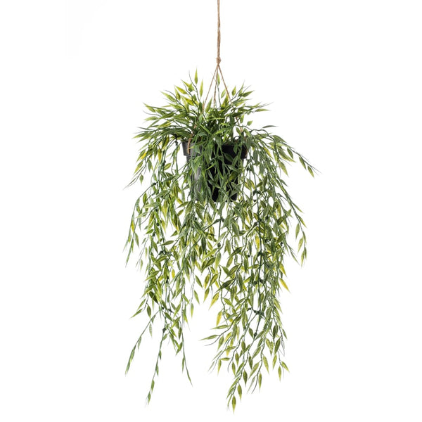 Emerald Bambu tekokasvi riippuva pensas ruukussa 50 cm