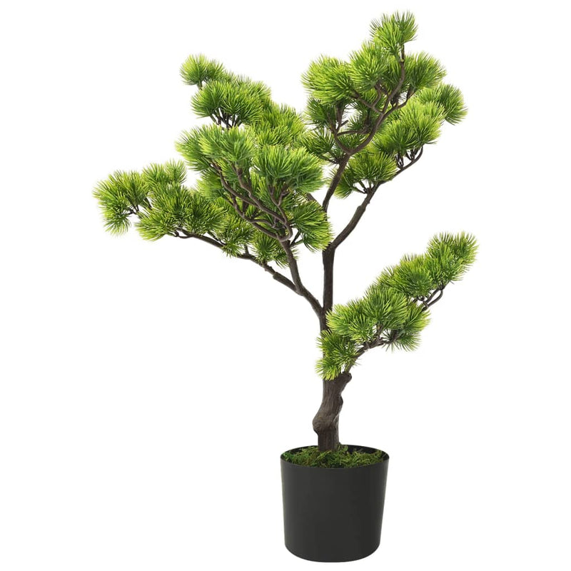 Tekokasvi bonsaipuu mänty ruukulla 60 cm vihreä
