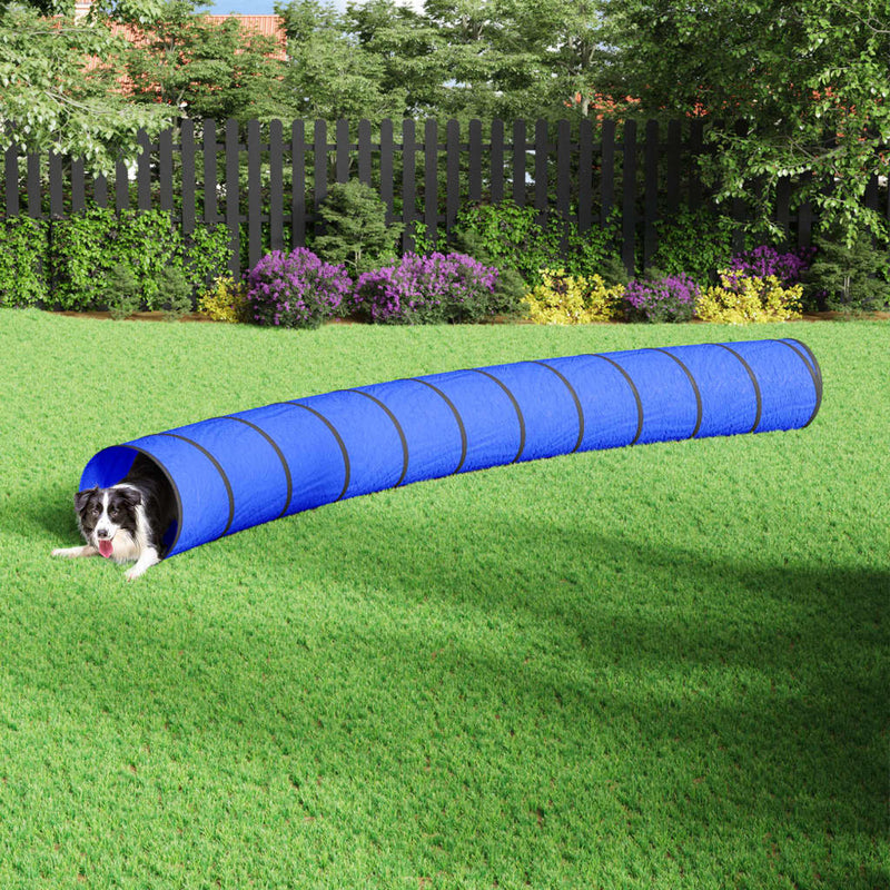 Koiratunneli sininen Ø 55x500 cm polyesteri